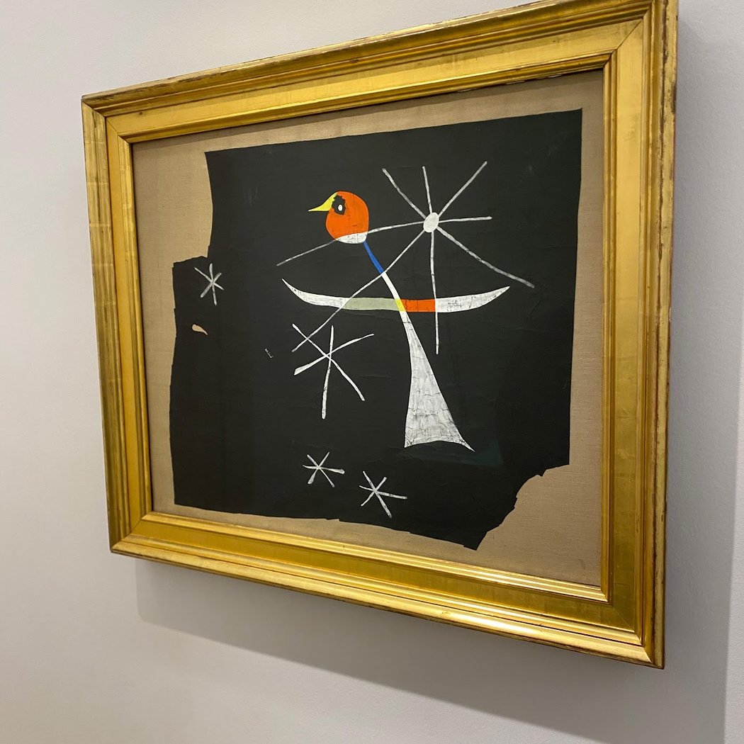 COMPLEMENTOS Y SUPLEMENTOS – Exposición 3