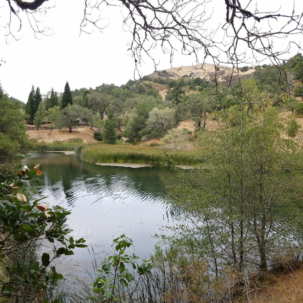 Phoenix Lake Trail 2