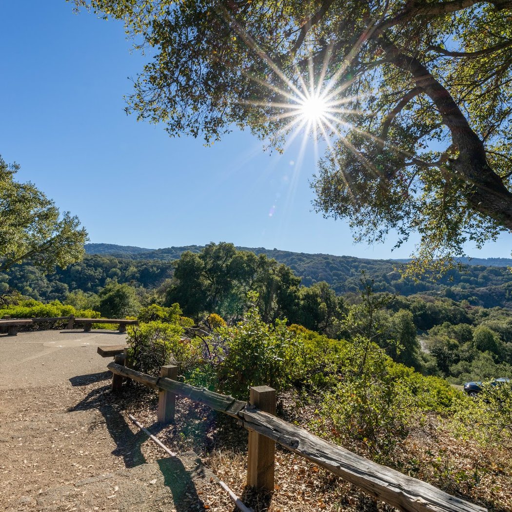Foothills Family Nature Walk 1