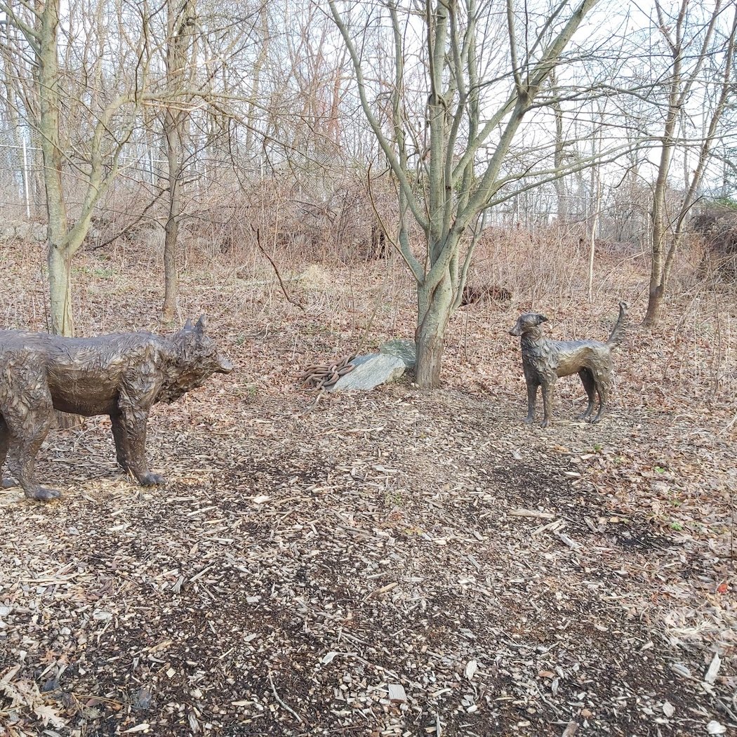 Wolf Conservation Center 2