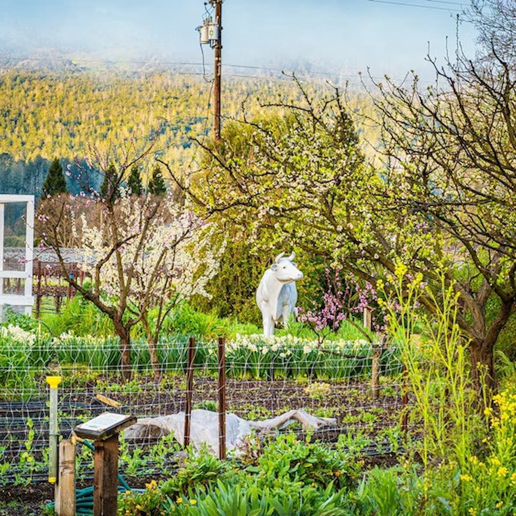 An Earth Day Journey of the Senses 2