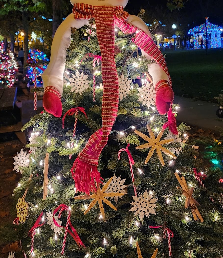 Spring Fling and Winter Wine Walk 3