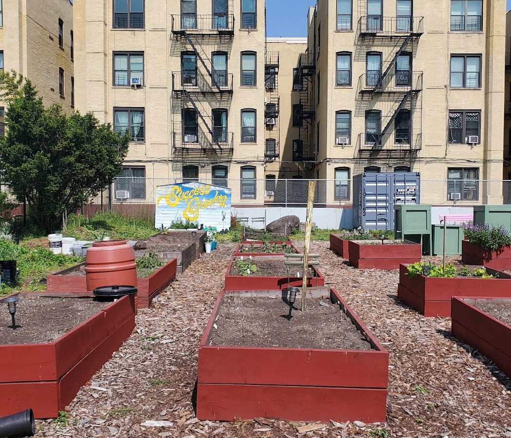 Success Community Garden 2