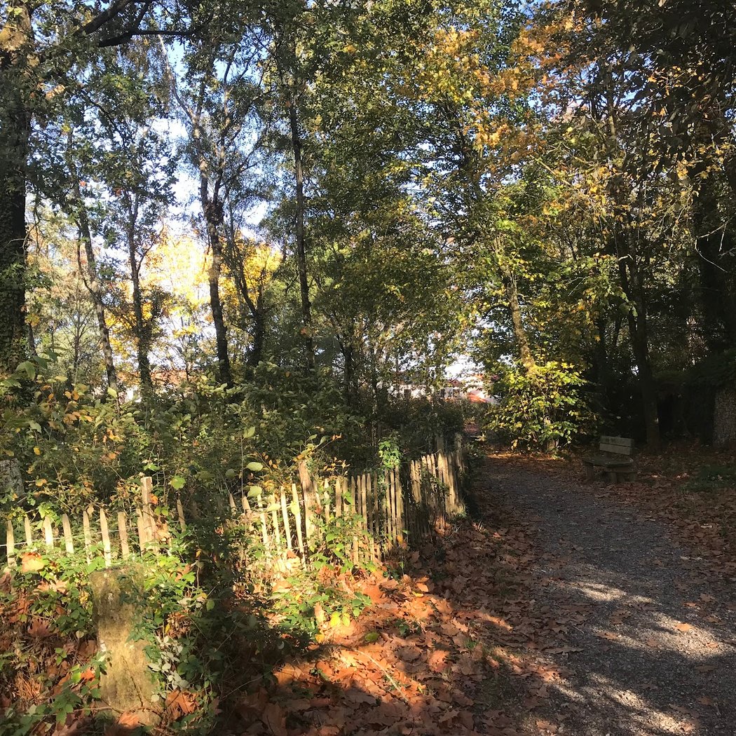 Naudières Woods 2
