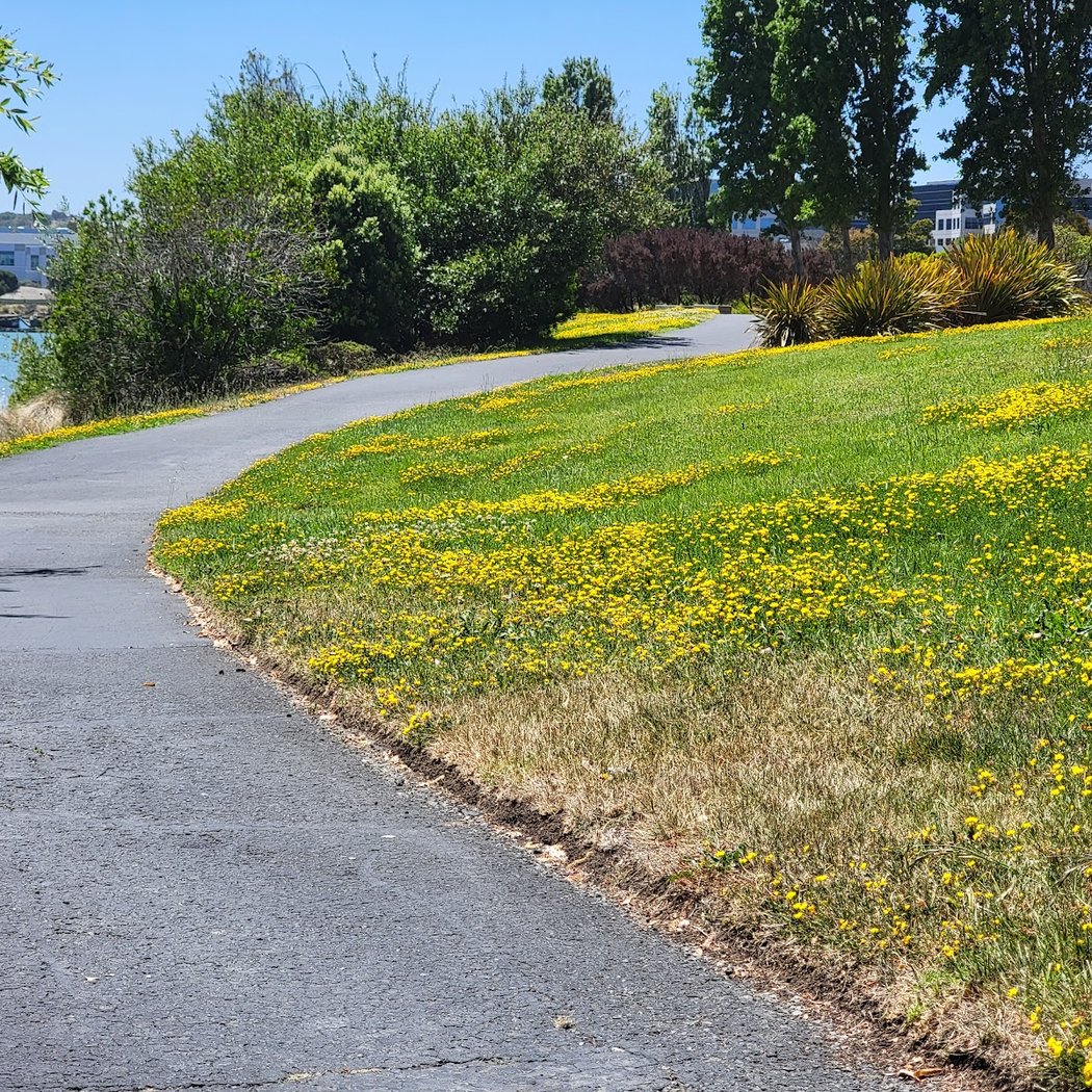 San Francisco Bay Trail, South San Francisco, CA 94080 1