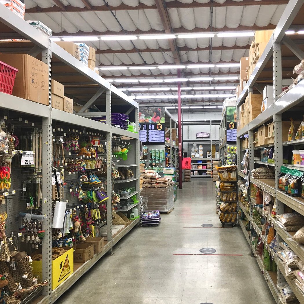 Pet Club Emeryville 3