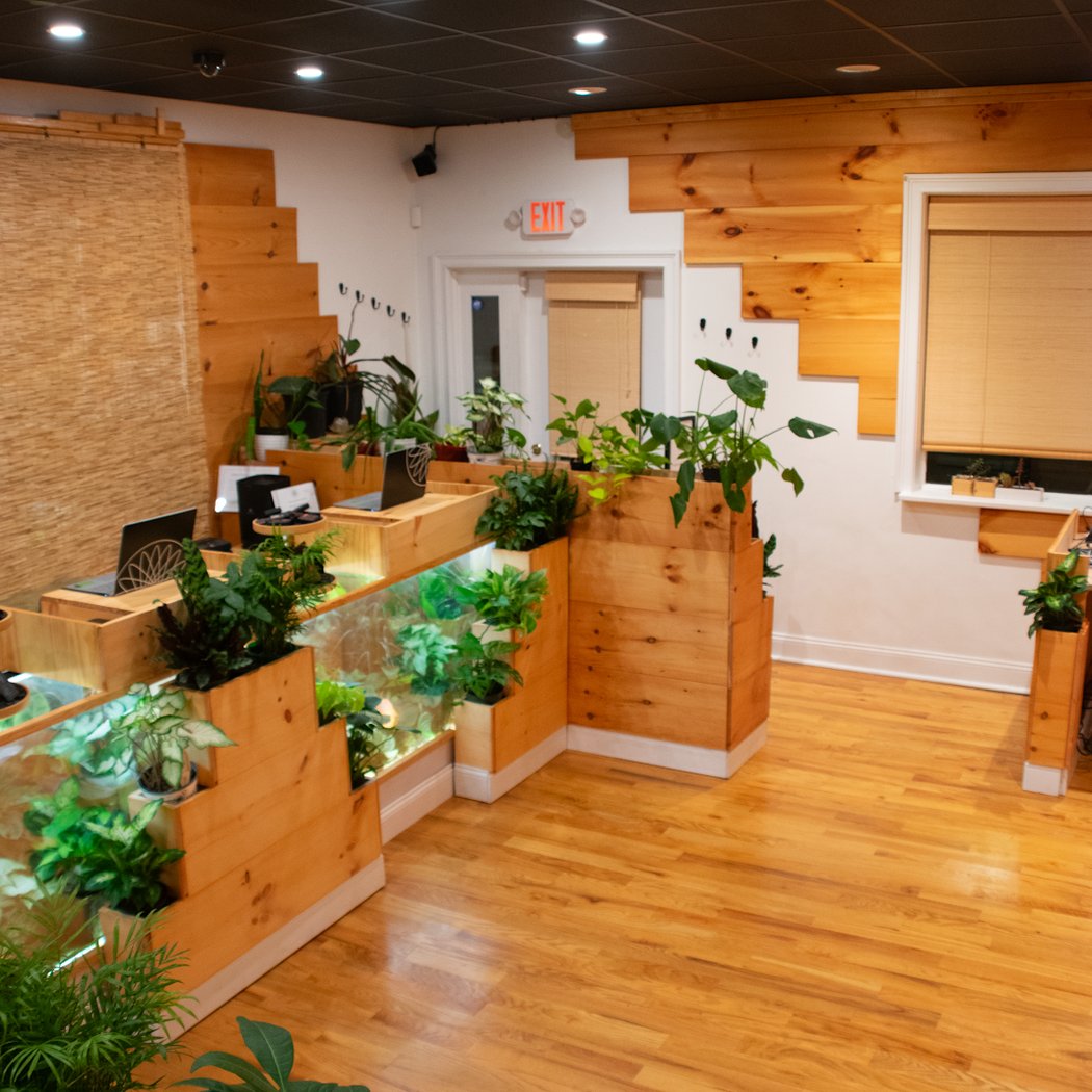 LotusWorks Wellness 1