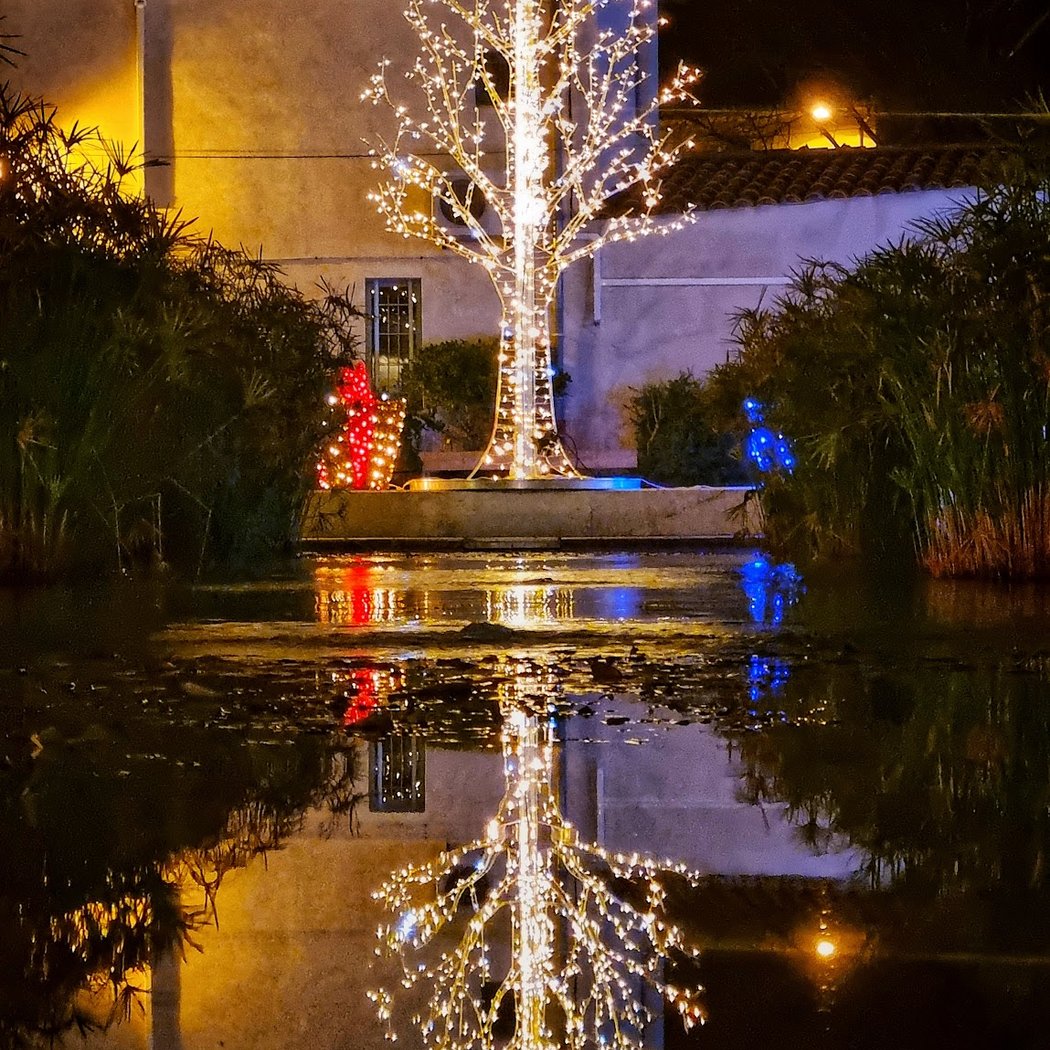 Jardin Charles Gaou 1