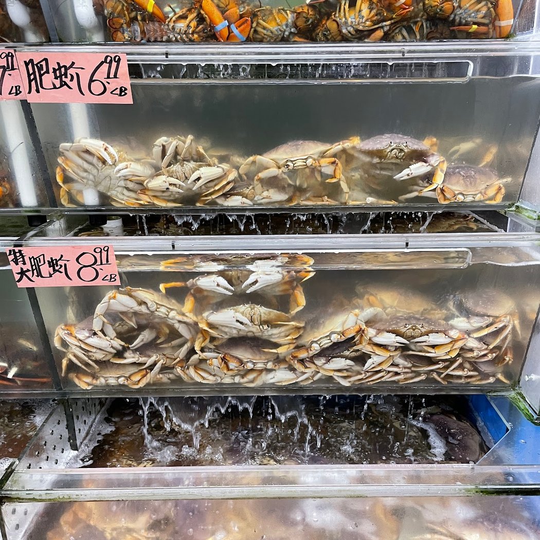 GoldenMart 1