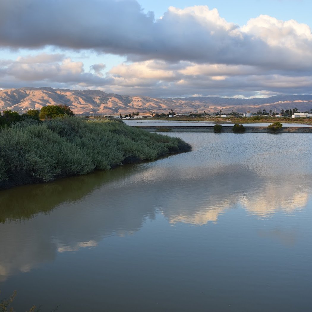 Alviso 2