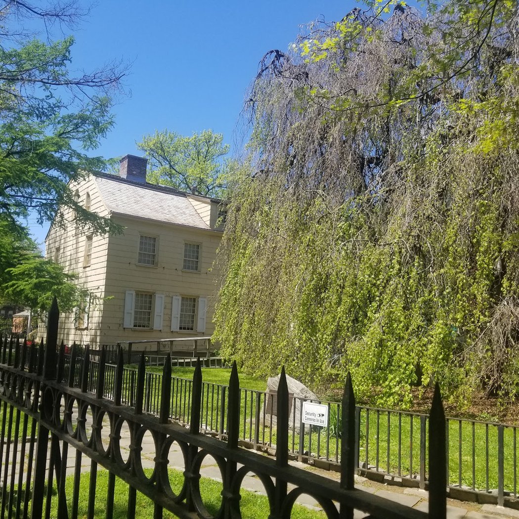 Weeping Beech Park 3