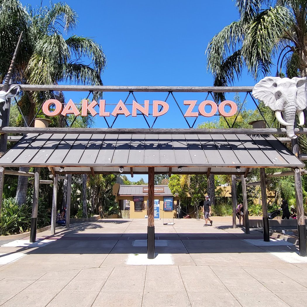 Father’s Day at Oakland Zoo 2