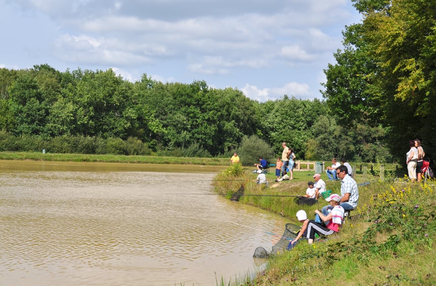 Foret d'Amboise 2
