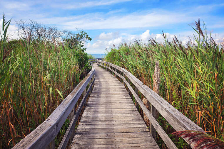 Fire Island National Seashore 1