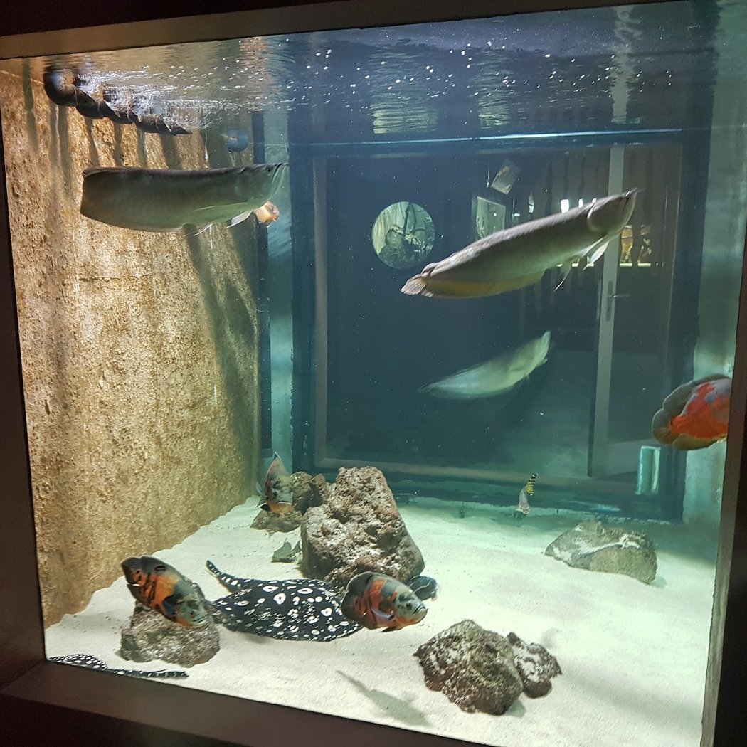 Aquarium des Tropiques 3