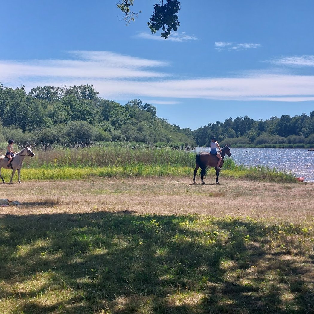 Base de loisirs Etang des bois 4