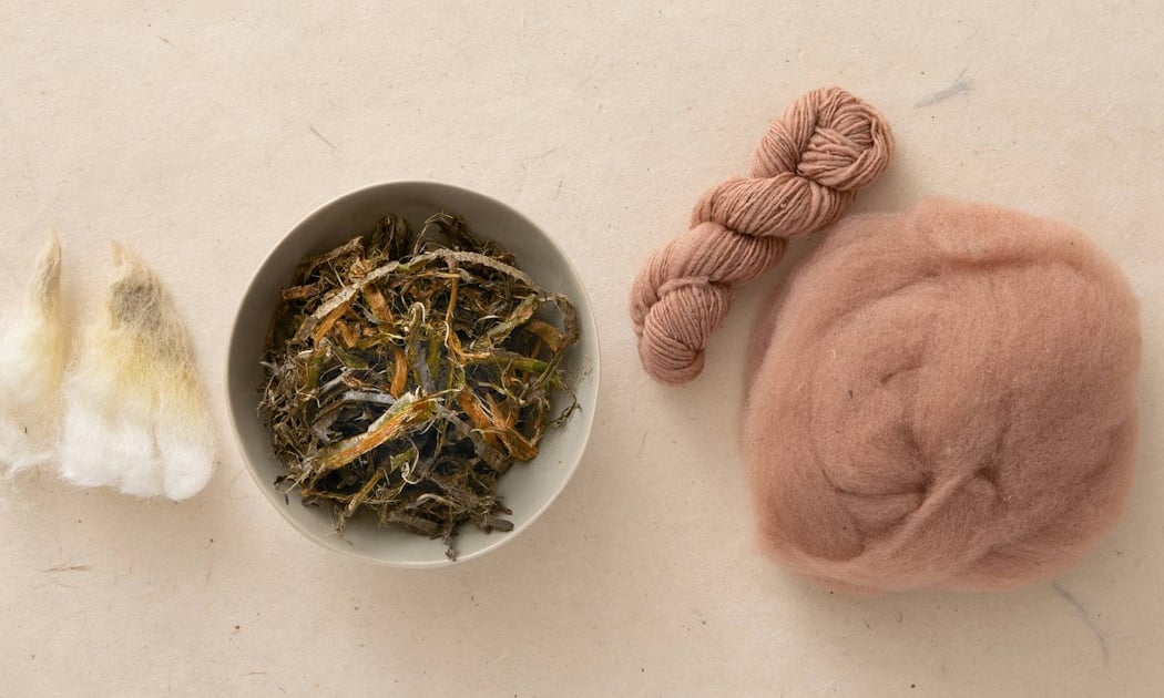 Natural Dyes Workshop 2