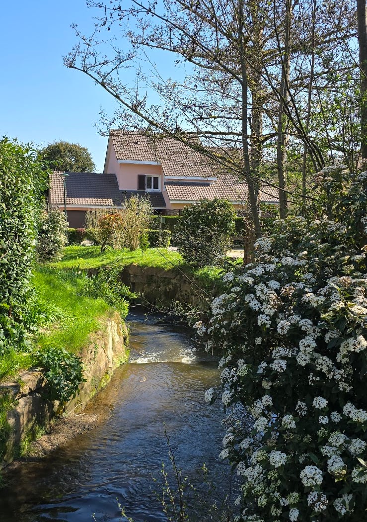 Balade autour de Chevreuse 3