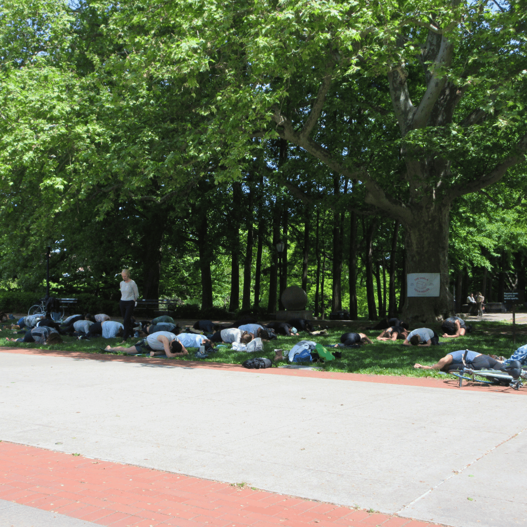Shala Yoga 1