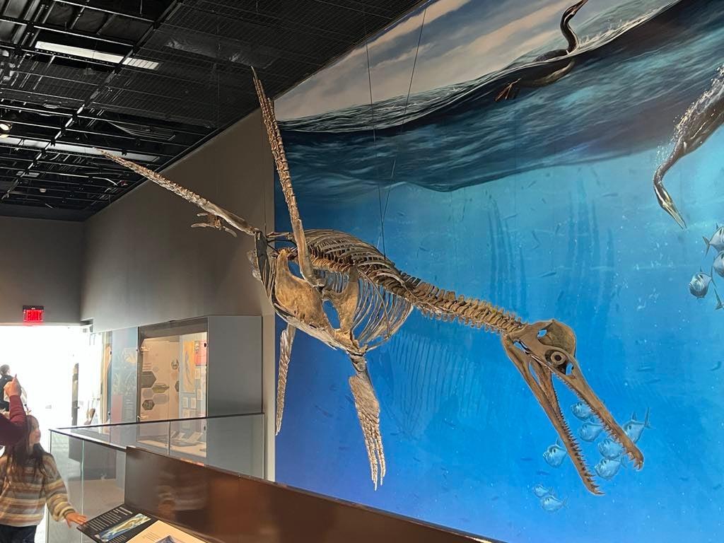 Sea Monsters 1