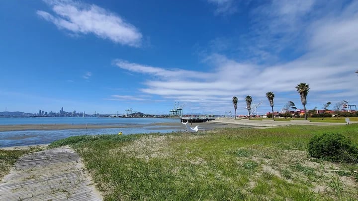 Middle Harbor Shoreline Park 2