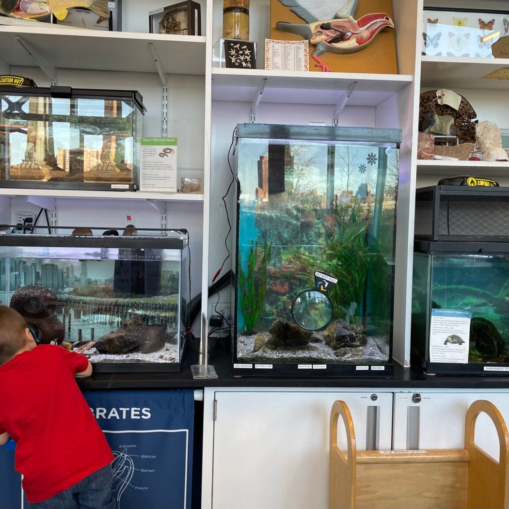 Open Hours at Environmental Education Center 1