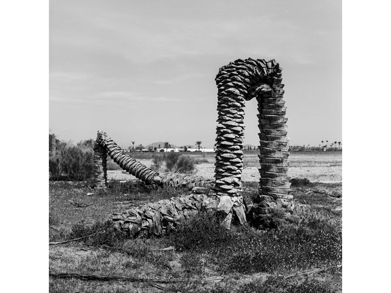 Desert Perspectives 2