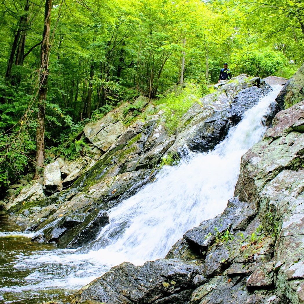 Norvin Green State Forest 3