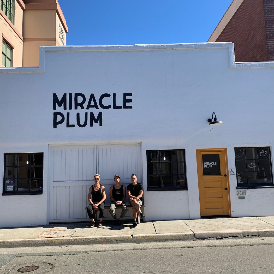 Miracle Plum 3