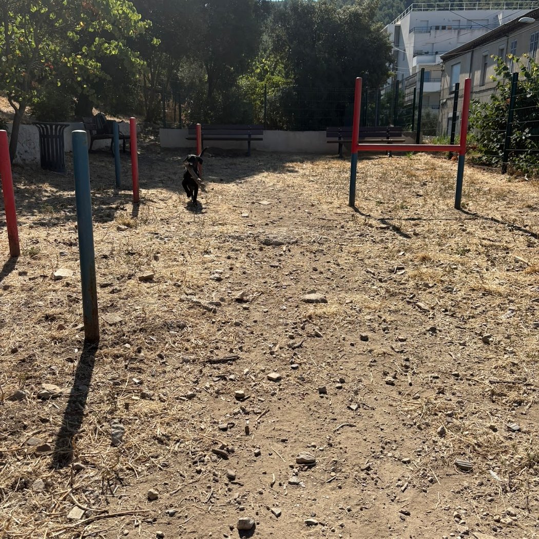 Parc à chien du redon 3