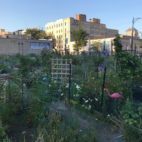 Vedgewater Community Garden Work Day 2