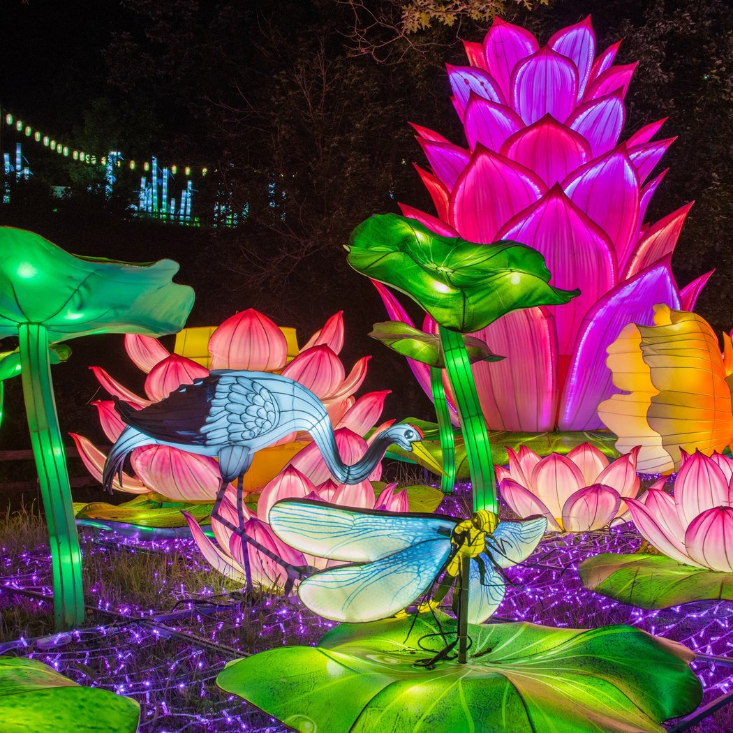 Boston Lights: A Lantern Experience 3
