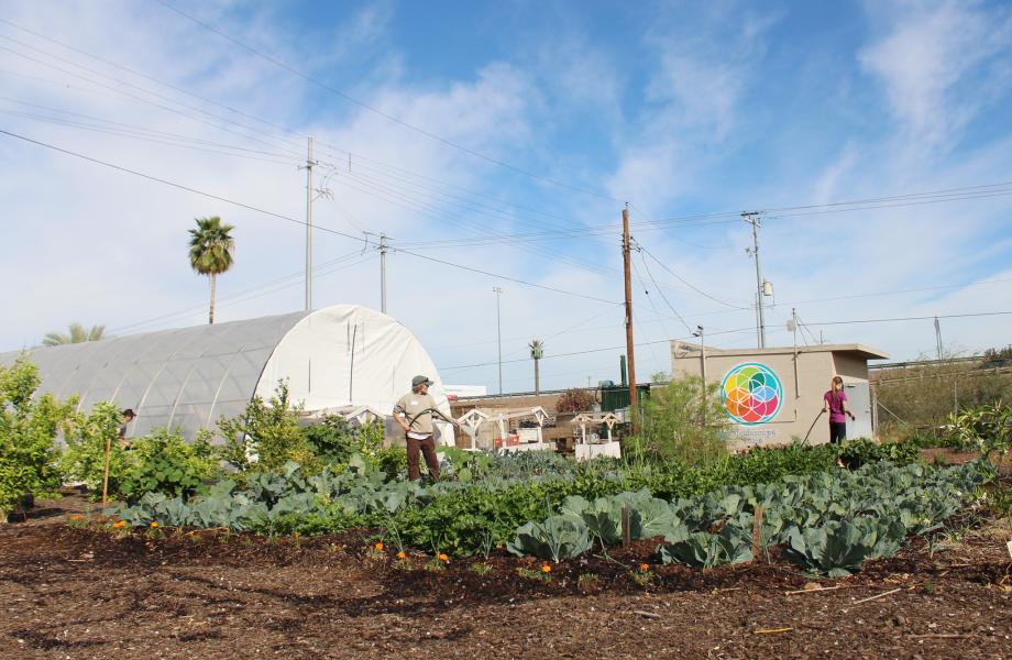 Garden Volunteers with St. Vincent de Paul 3