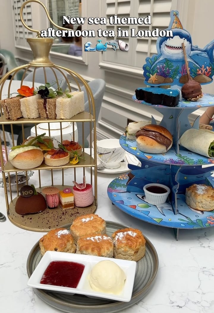 Sea Life & Scones Kids Afternoon Tea