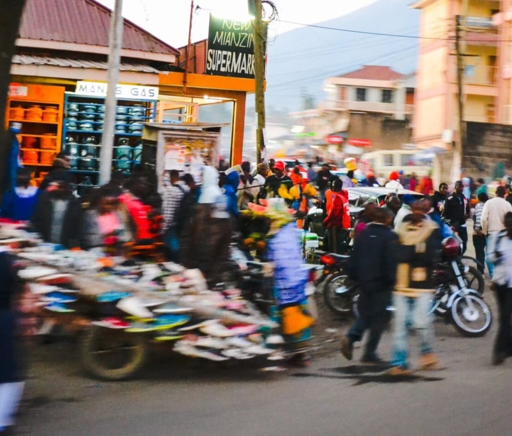 Policy in Context: Africa's Cost of Living Crisis 1