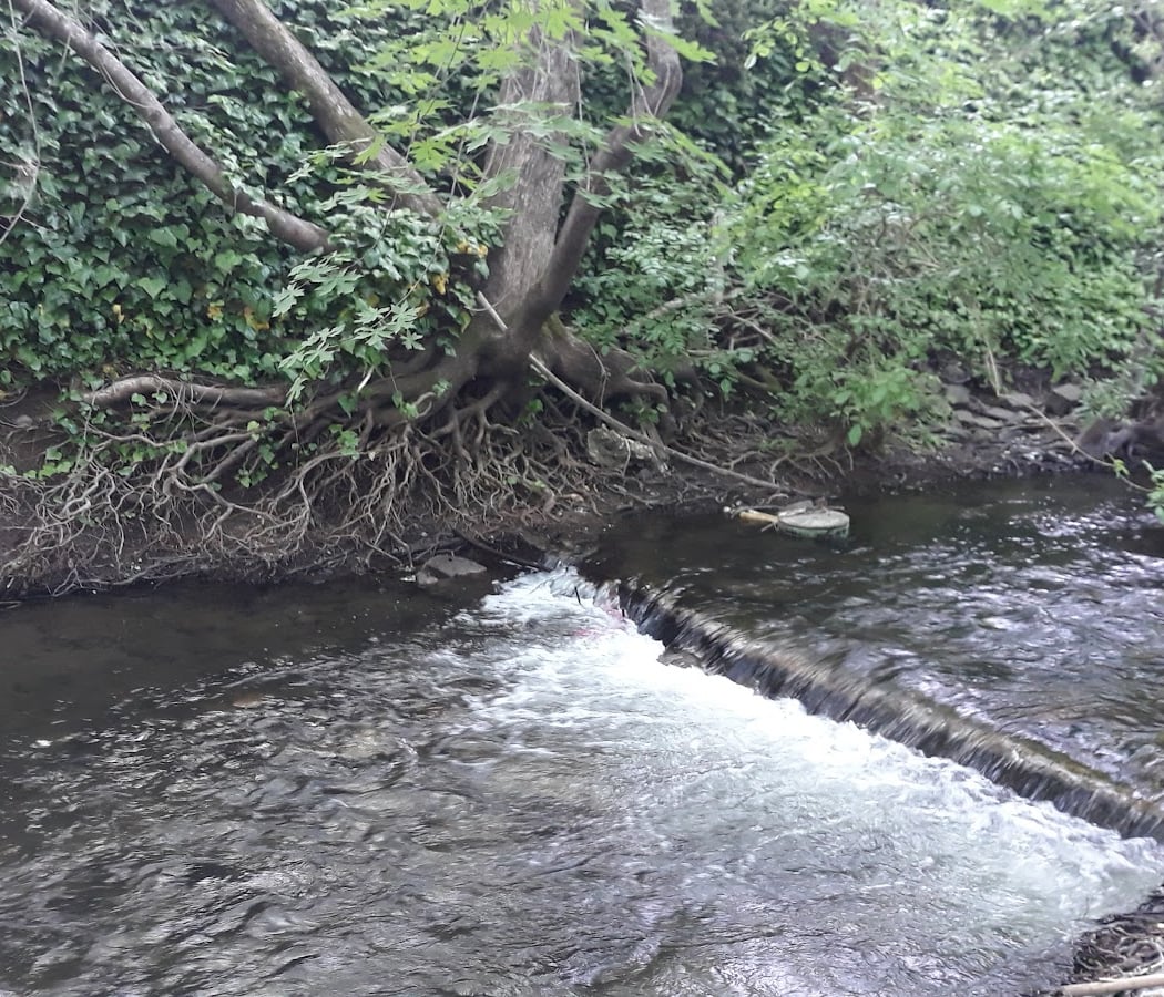Santa Rosa Creek 2
