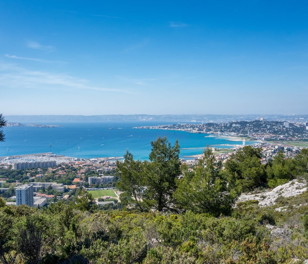 Le Roy d'Espagne 3