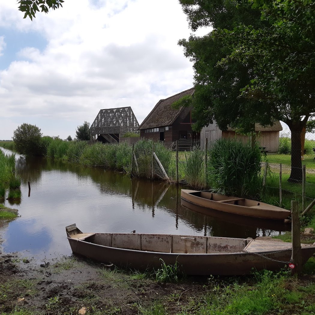 Balade nature et observation 3
