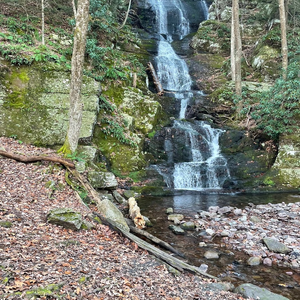 Stokes State Forest 3