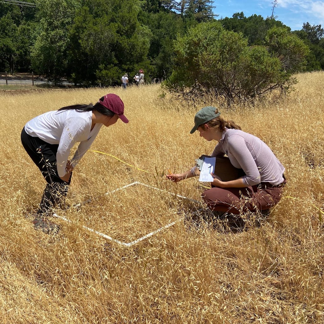 Grassroots Ecology 1