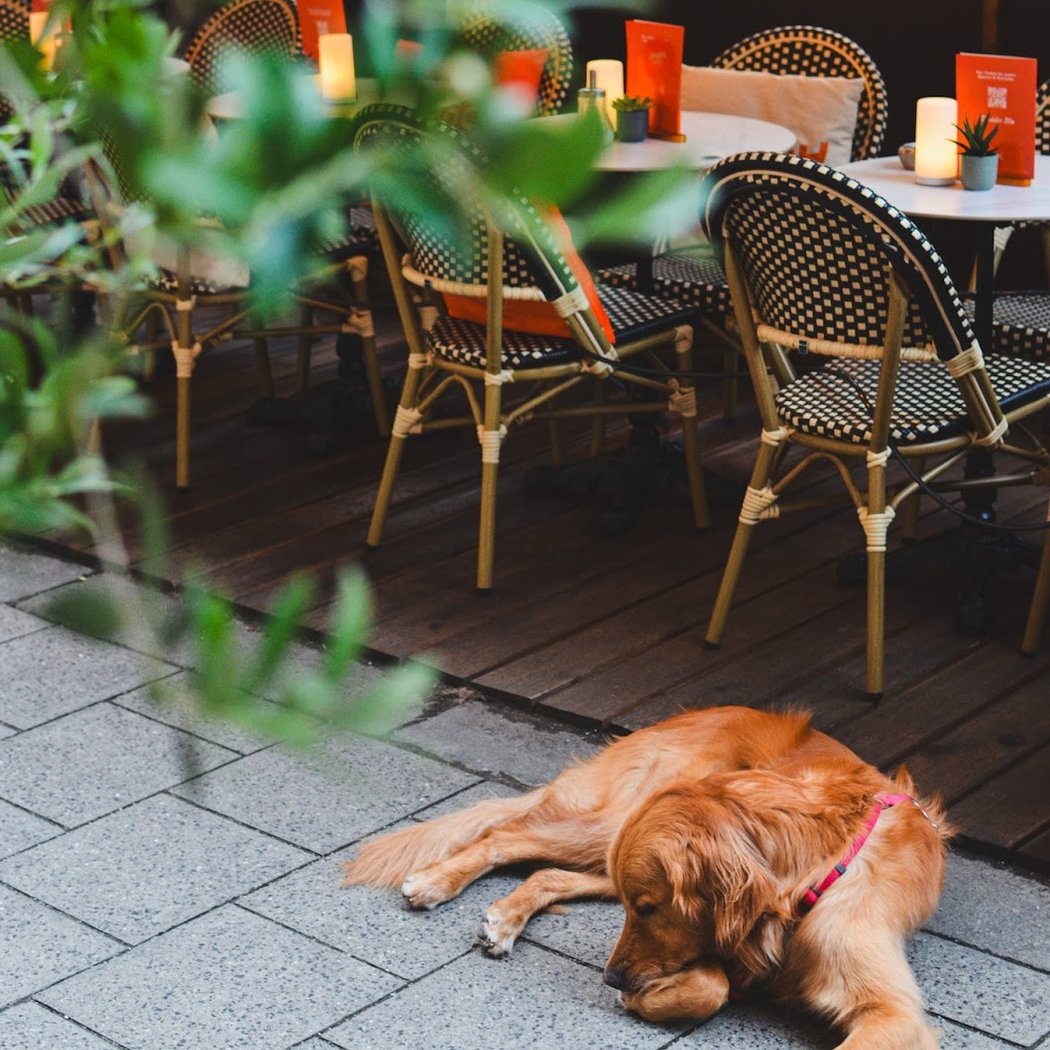 Daddee Blu — Brunch | Café | Bar 2