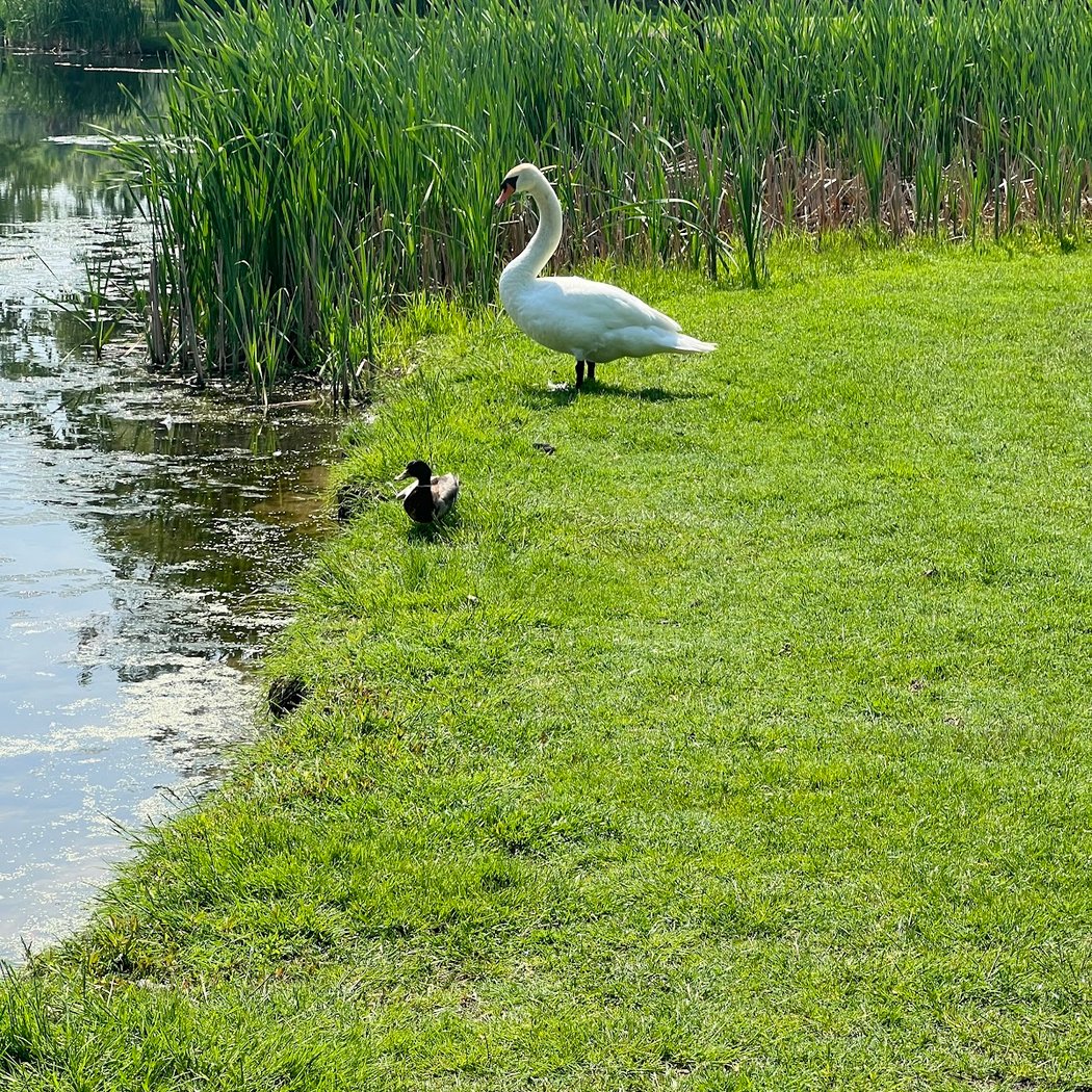 Valley Brook Golf Course 3