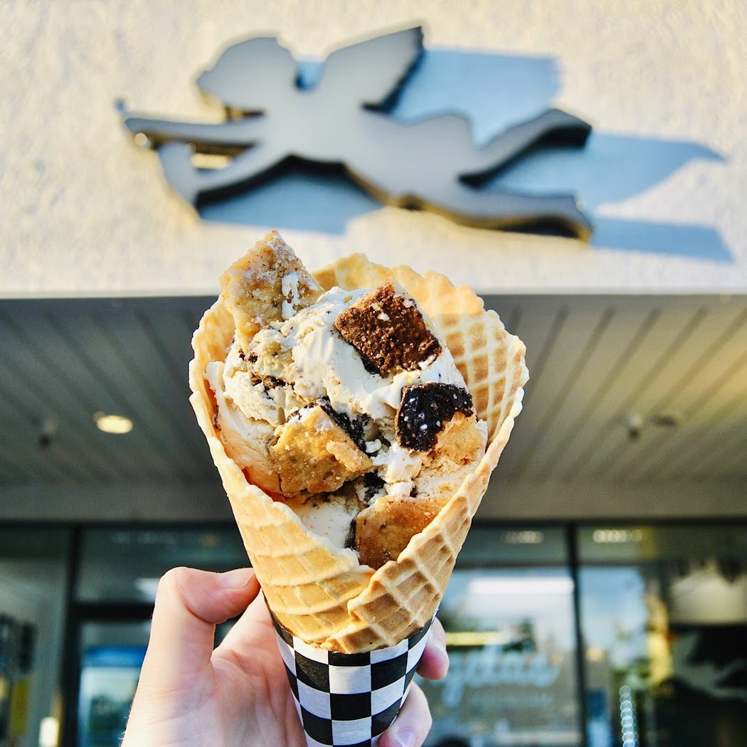 Angela's Organic Ice Cream 3