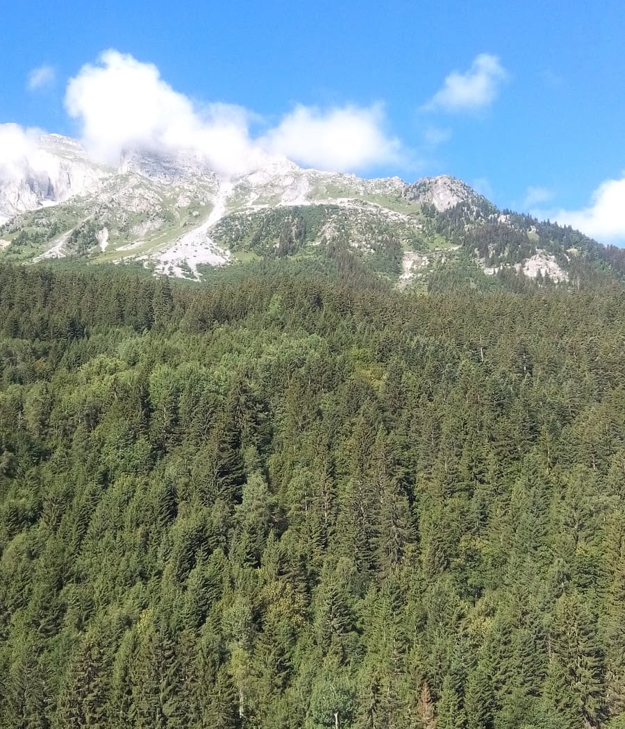 Pralognan-la-Vanoise 3