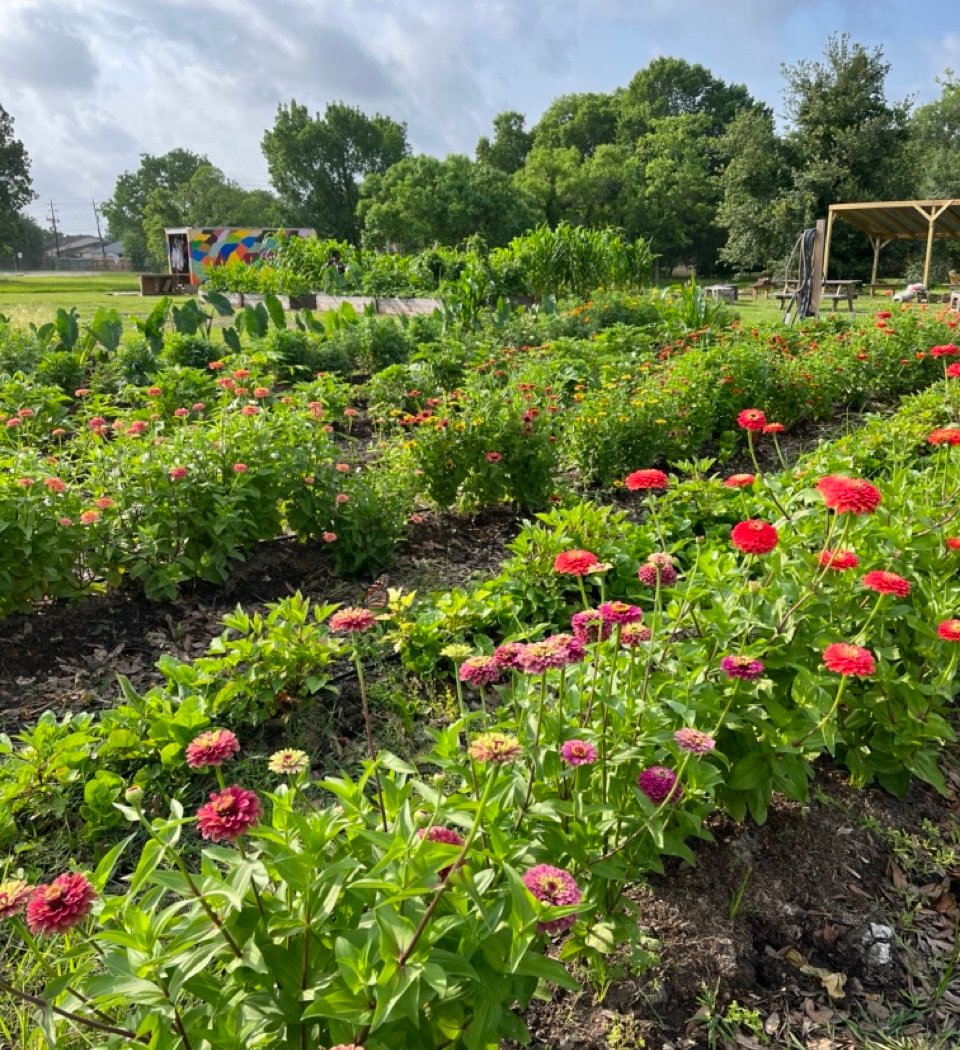 Community Farm Work Session 3