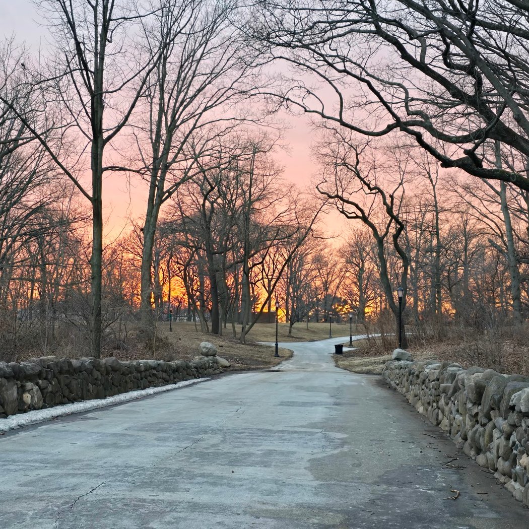 Highland Park 4