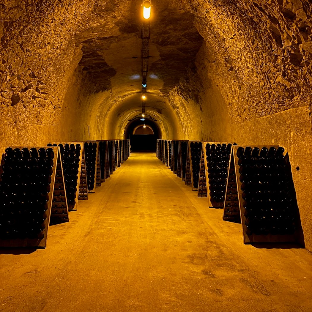 Champagne Taittinger | Visites des caves de champagne Reims 1