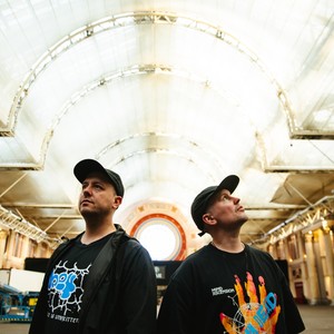 Hybrid Minds