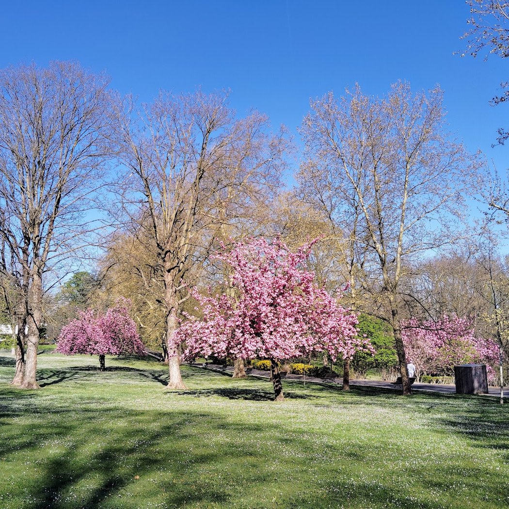 Parc départemental du Rancy 1