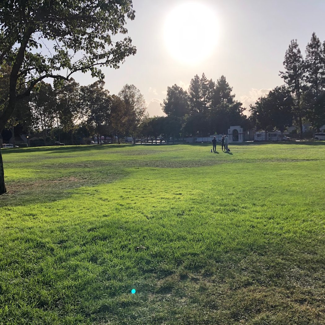 Summer Outdoor Movie Night Series 3